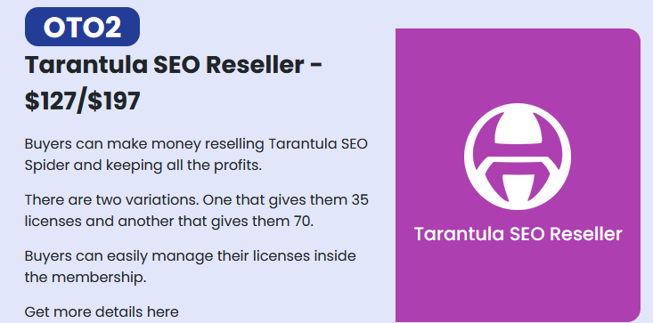 Tarantula SEO Spider Review