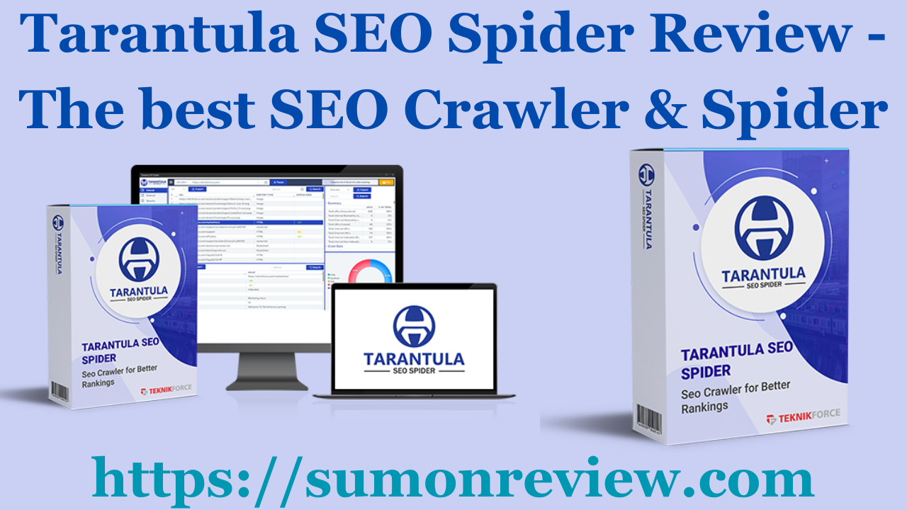 Tarantula SEO Spider Review