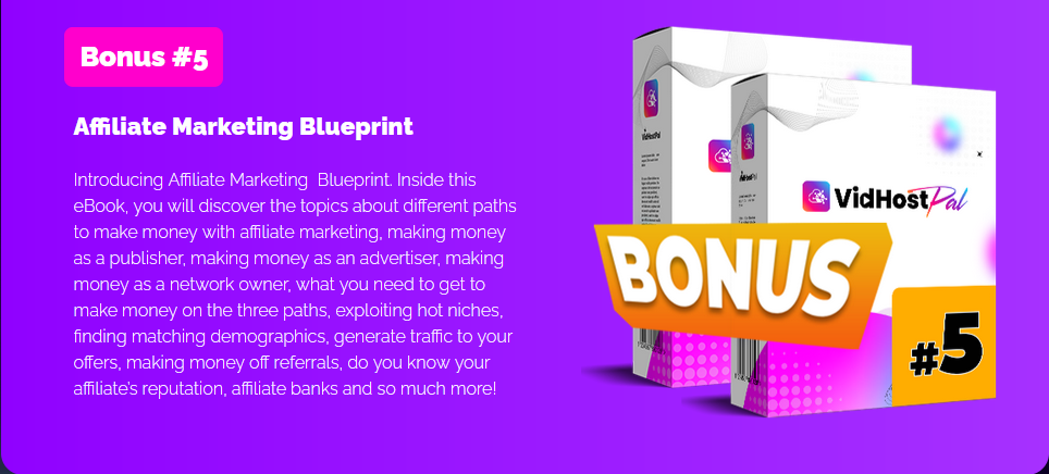 VidHostPal Review