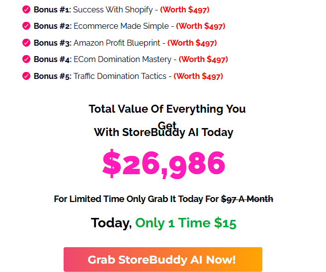 StoreBuddy AI Review
