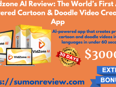 Vidzone AI Review